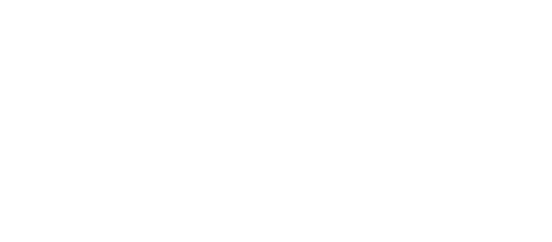 Risk & Insurance Solutions - Logo 800 White
